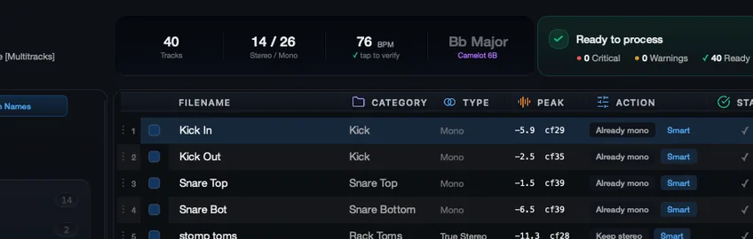 Per-track category-aware gain values, with key, tempo, and ready-to-process status